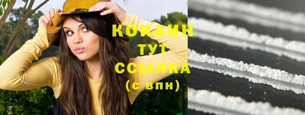 крисы Надым